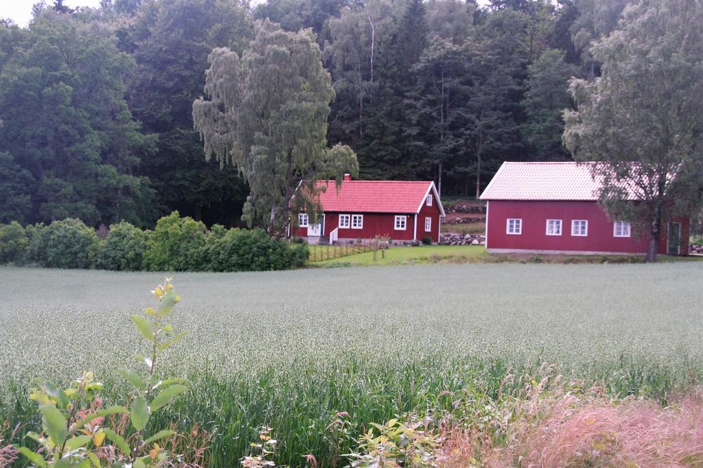 Wraen Svartra Exterior photo